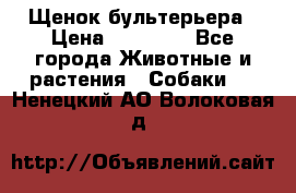 Щенок бультерьера › Цена ­ 35 000 - Все города Животные и растения » Собаки   . Ненецкий АО,Волоковая д.